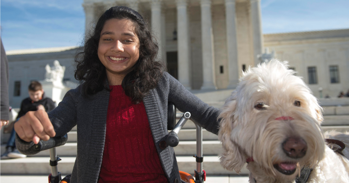 7 chronic diseases service dogs help to manage