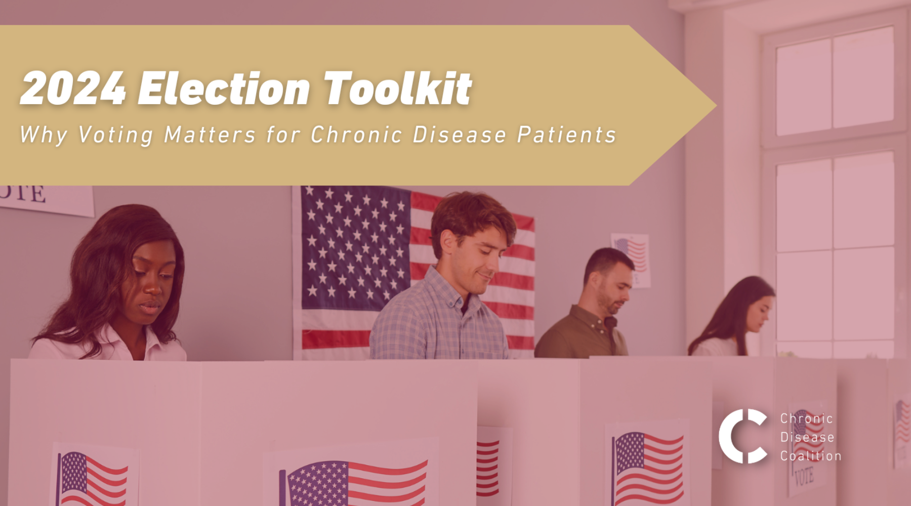 2024 Election Toolkit