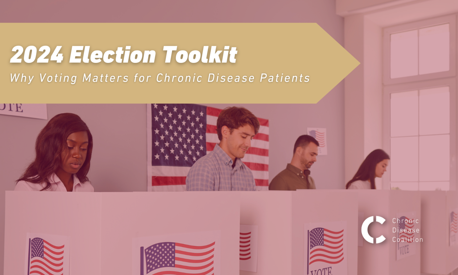 2024 Election Toolkit
