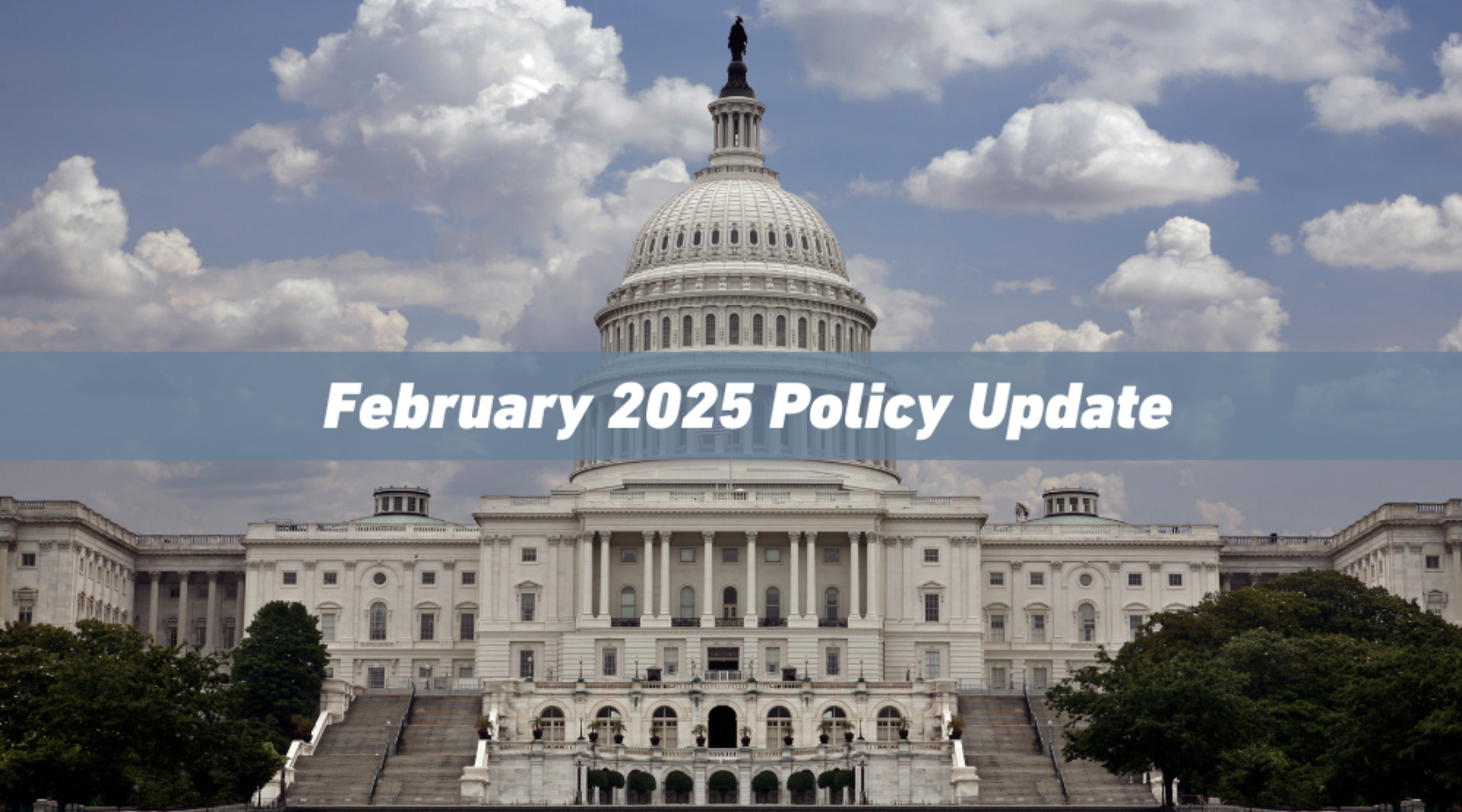 February 2025 Policy Update