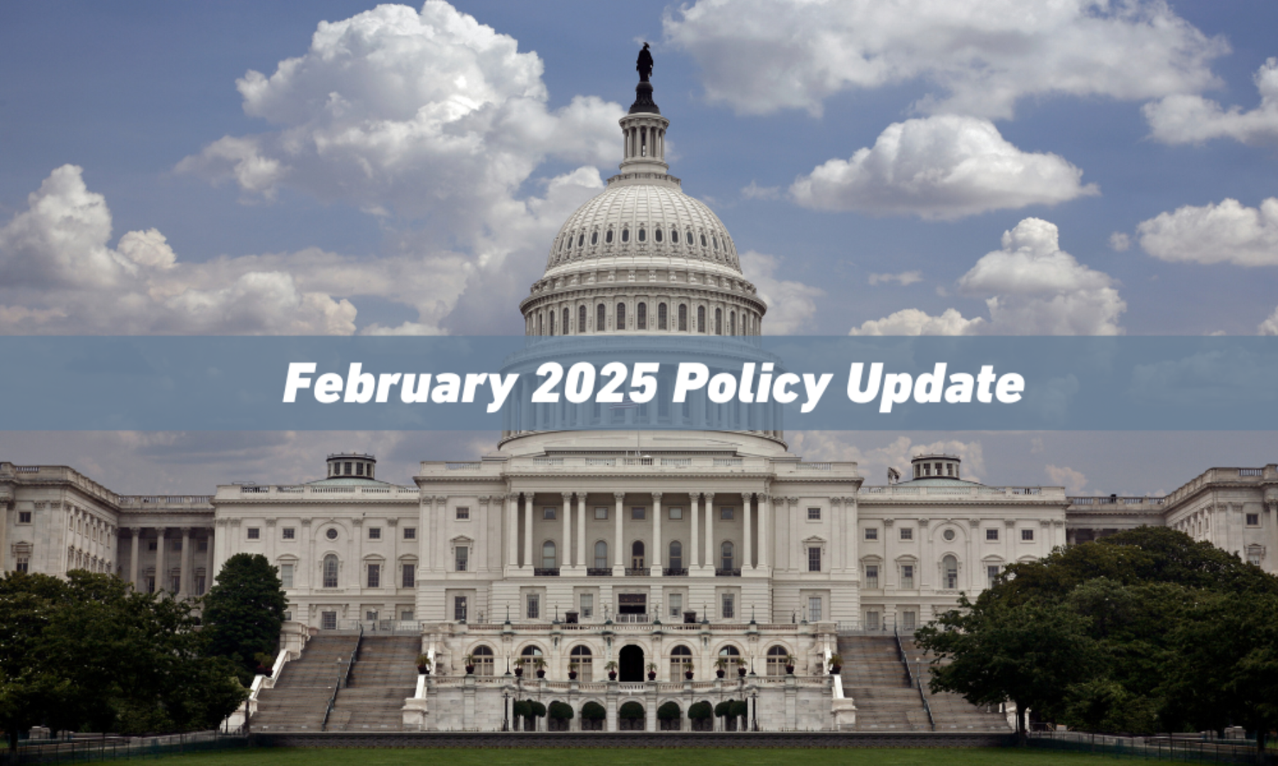 February 2025 Policy Update