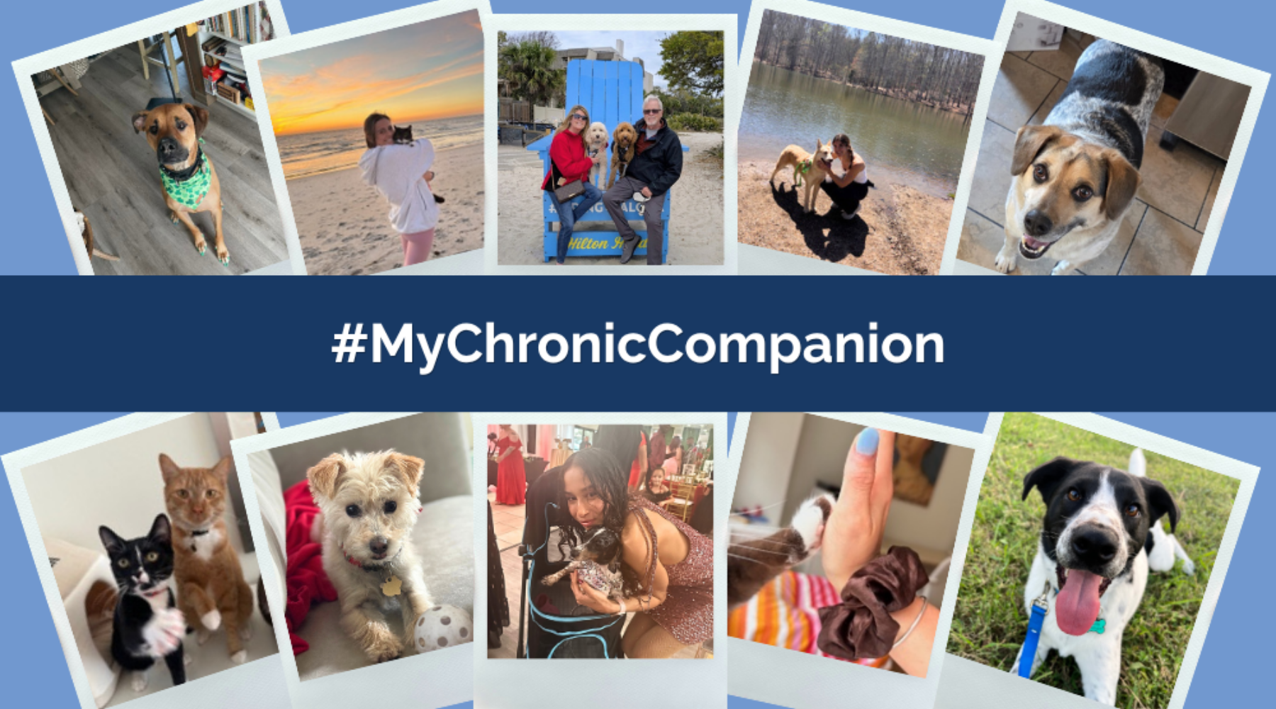 My Chronic Companion: Meet the Pets Who Bring Joy to Our Ambassador Community