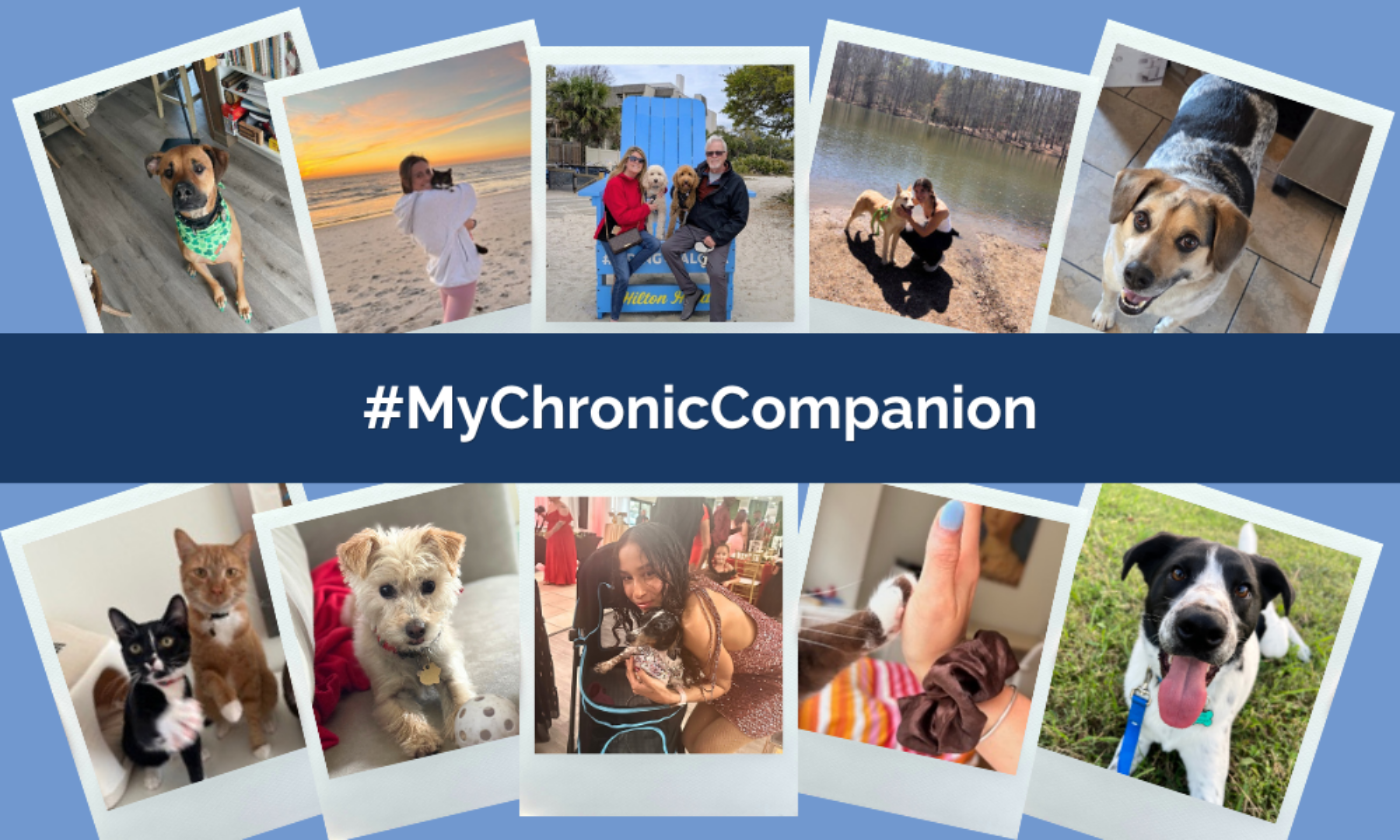My Chronic Companion: Meet the Pets Who Bring Joy to Our Ambassador Community