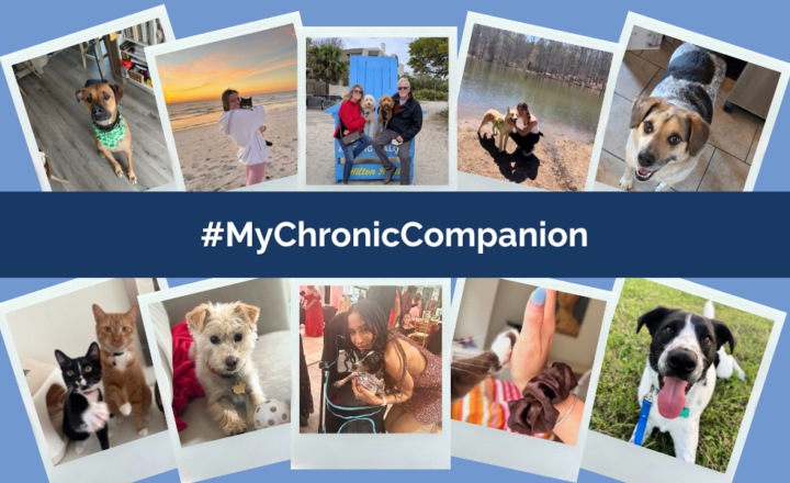 My Chronic Companion: Meet the Pets Who Bring Joy to Our Ambassador Community
